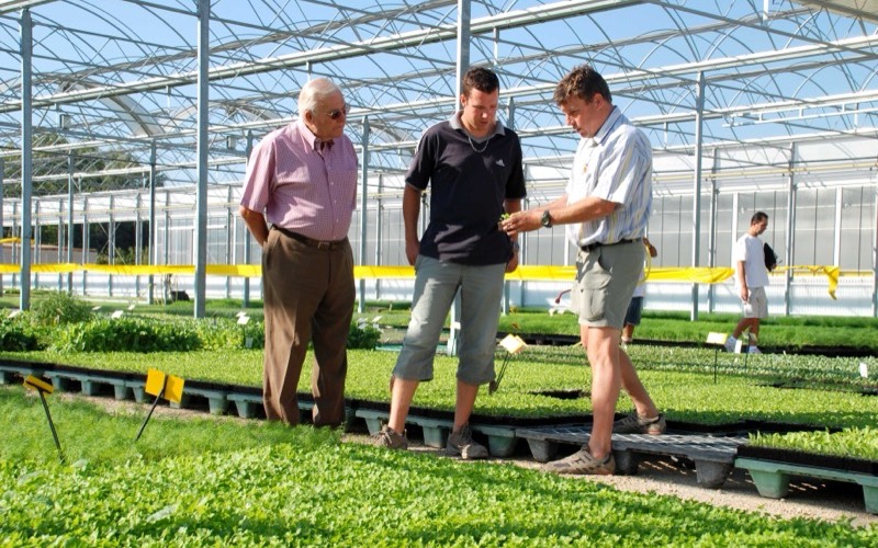 Trois générations de producteurs dans les serres (2022)